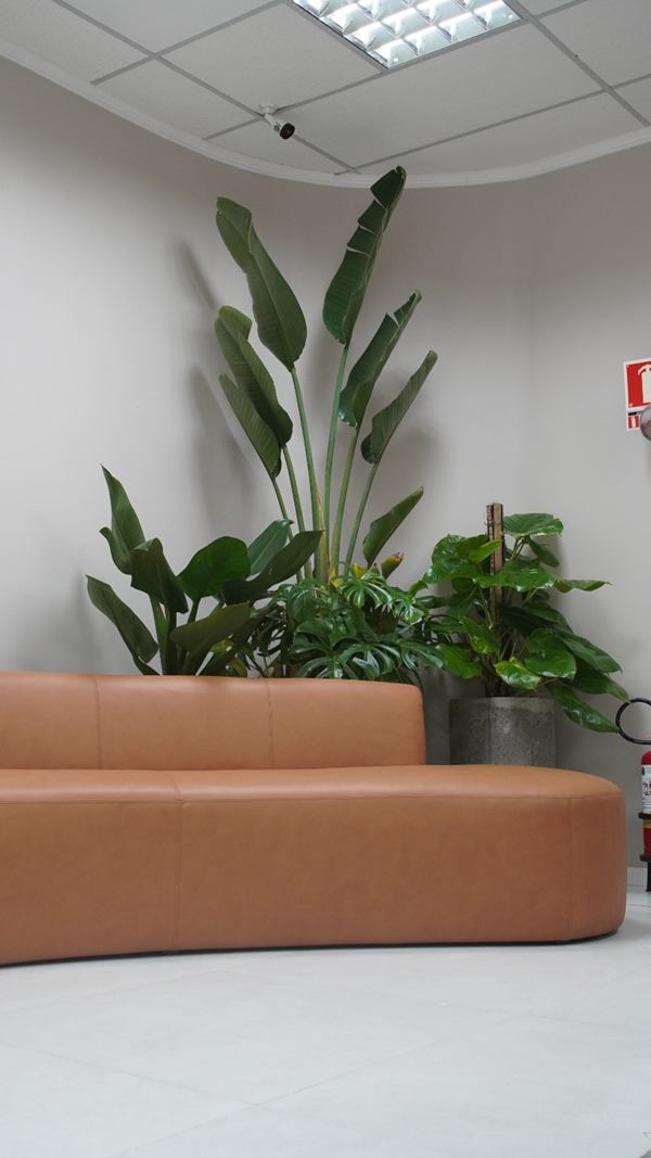 Sala de espera com sofá e plantas